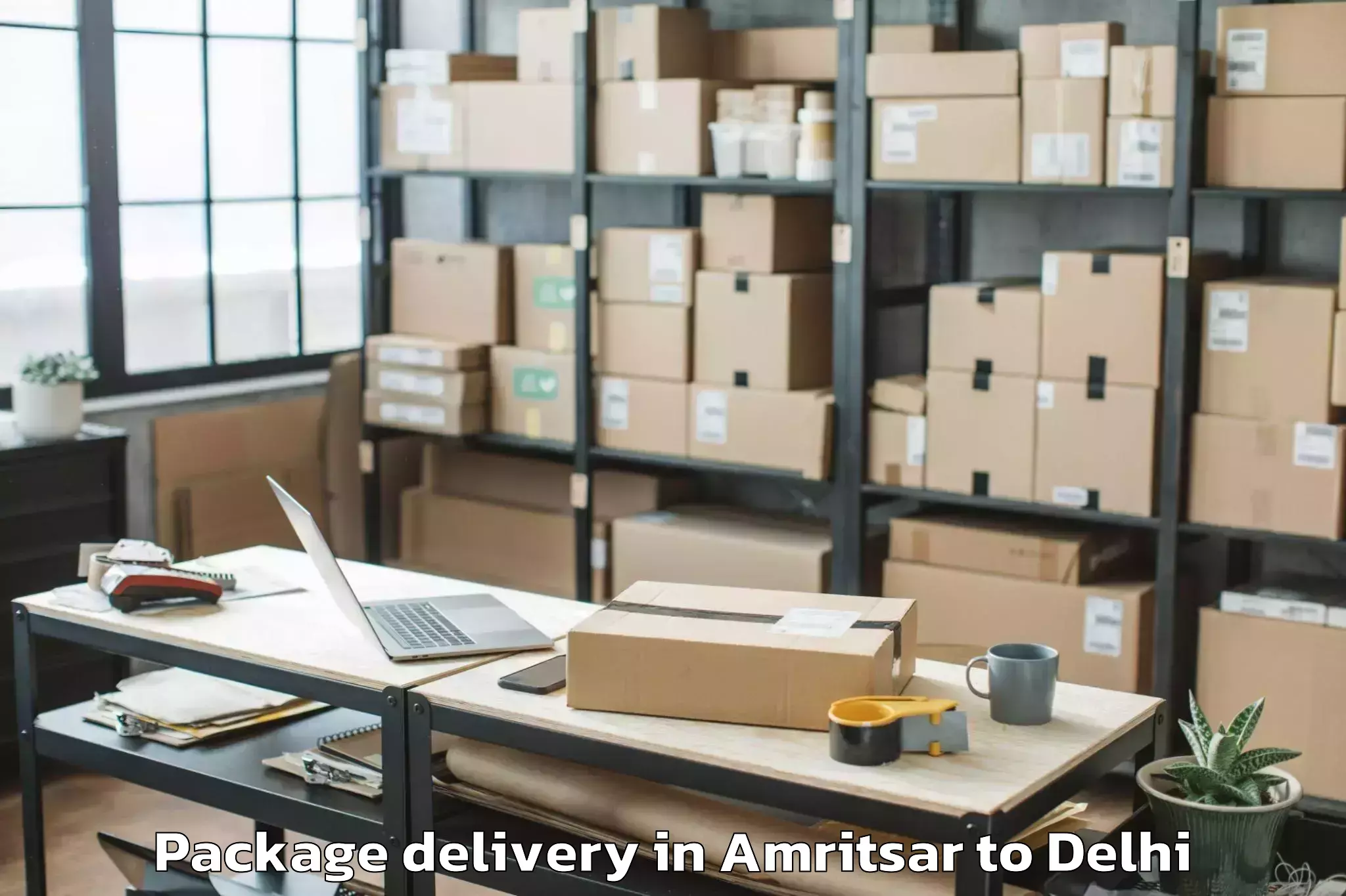 Professional Amritsar to Aggarwal City Mall Pitampura Package Delivery